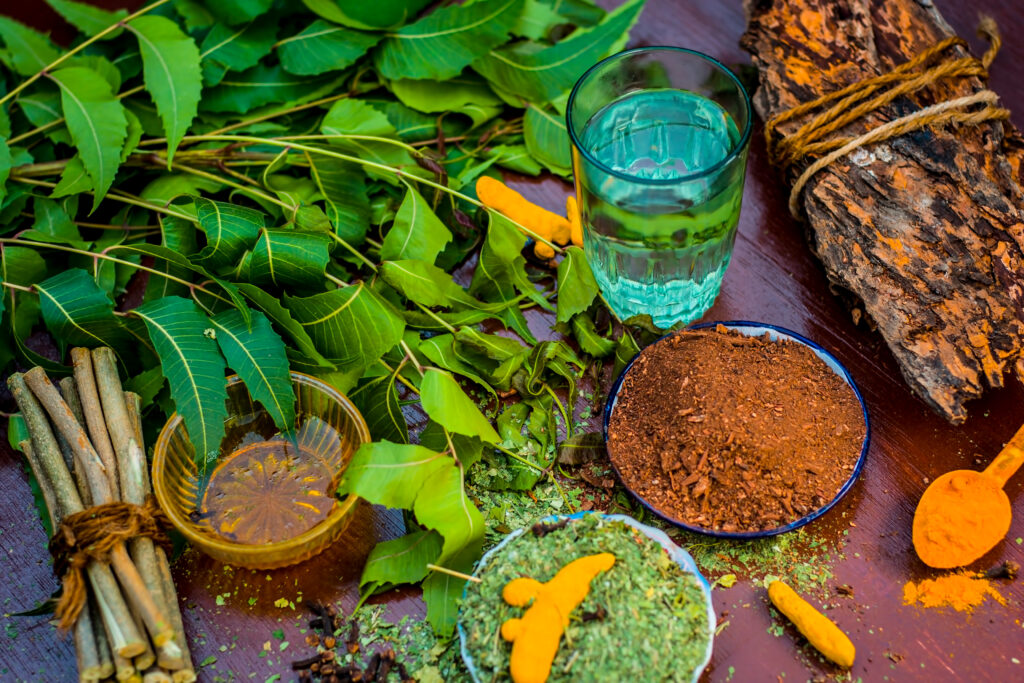 Powder of Indian lilac,Azadirachta indica in a glass plate with its leaves and raw underpowered turmeric.